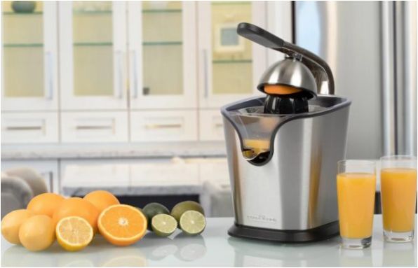 Citrusfacsarók