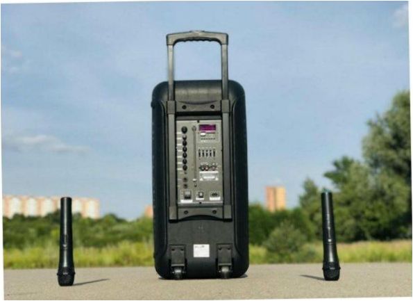 Eltronic 20-14 Dance Box 300, 80 W,