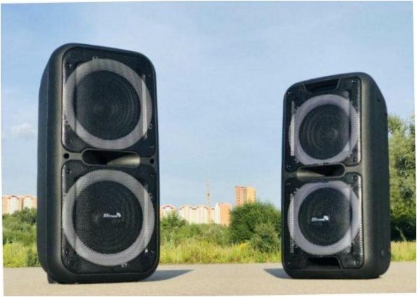 Eltronic 20-14 Dance Box 300, 80W