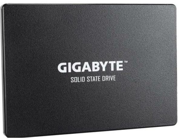 GIGABYTE 256 GB SSD 256GB (GP-GSTFS31256GTND)