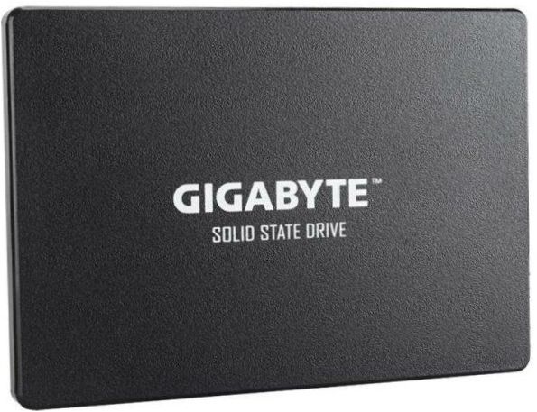 GIGABYTE 1000 GB GP-GSTFS31100TNTD