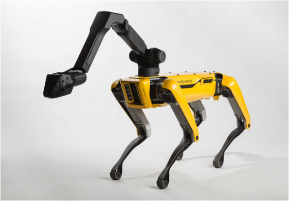 Robot kutya
